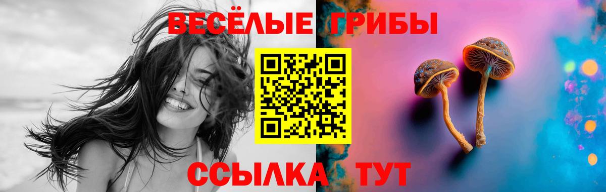 Псилоцибиновые грибы Magic Shrooms  Вход с VPN  Гусь-Хрустальный 